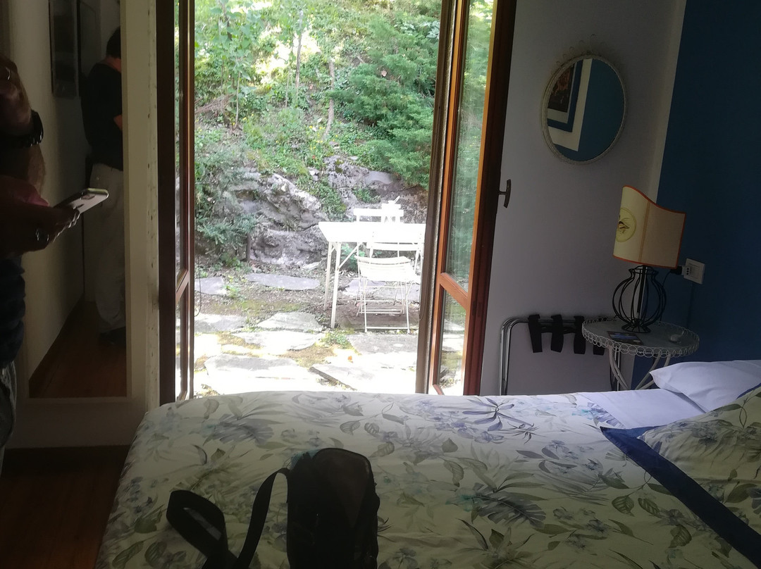 Le Ortensie Due主图