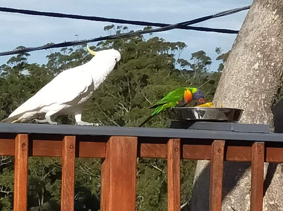 塔姆柏林山住宿加早餐酒店主图