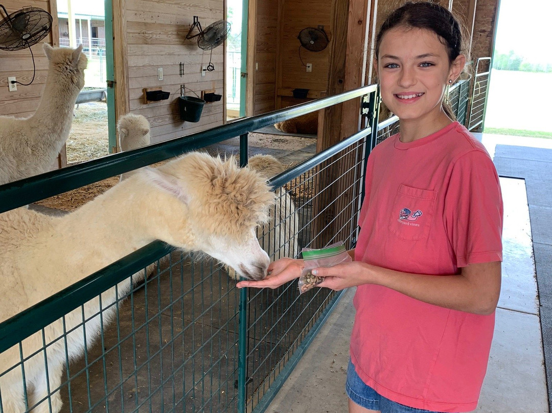 Peeka Ranch-Burton必去景点
