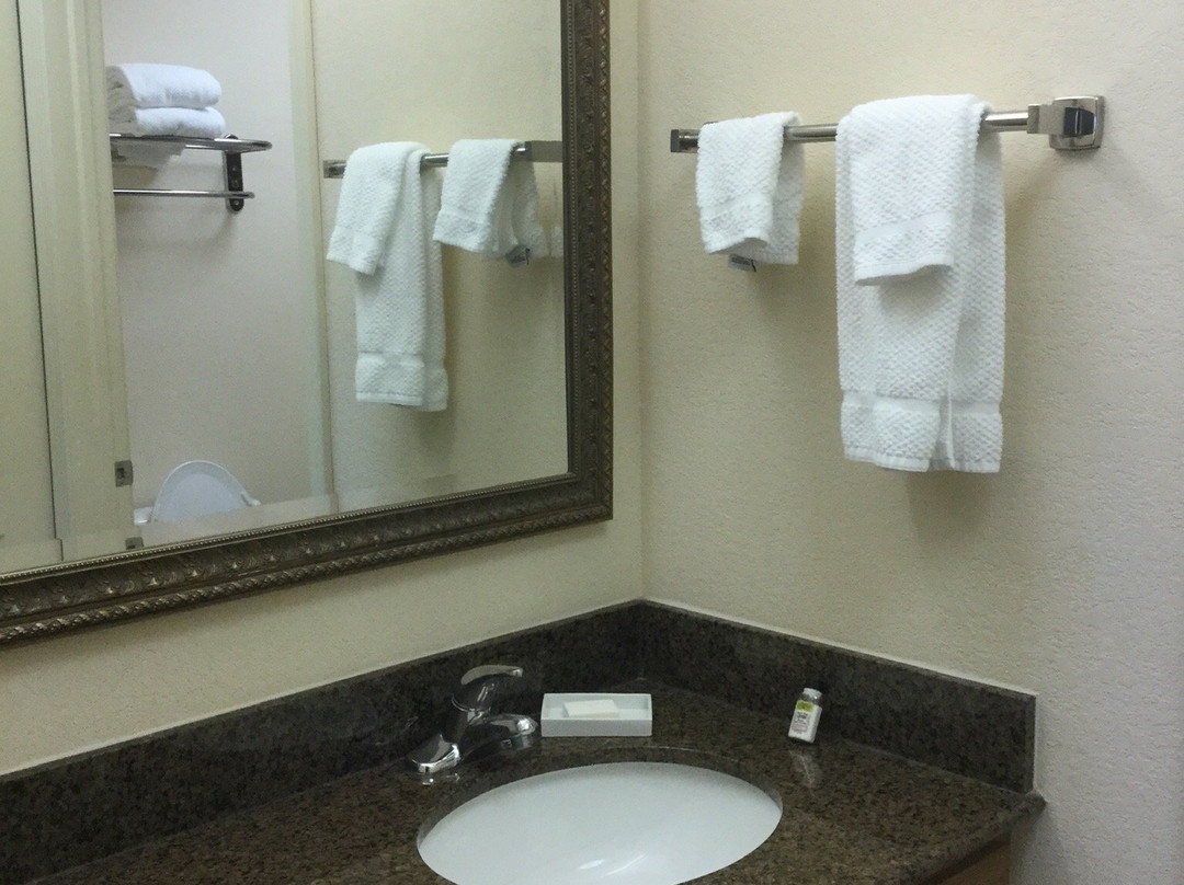 密尔沃基机场南驻桥套房酒店主图