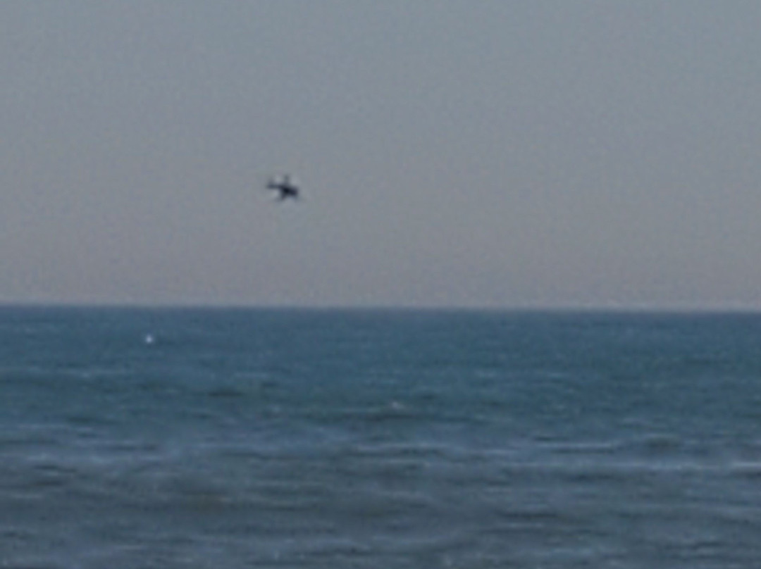 Tobay Beach景点图片