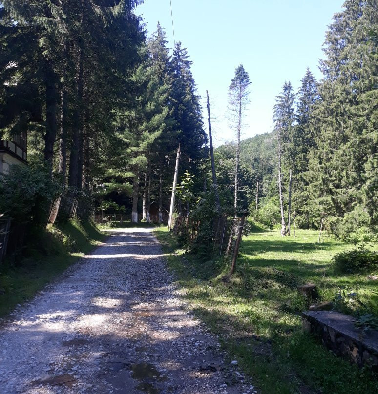 Semenic-Cheile Carașului National Park景点图片