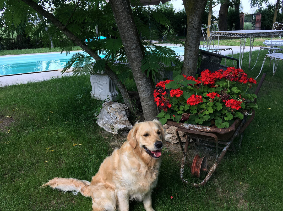B & B IL Parco Delle Sequoie主图