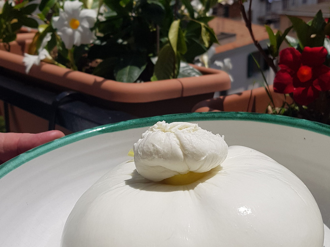 Caseificio Tenuta Lanza