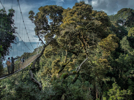 GREEN SAFARIS-Ruhengeri必去景点