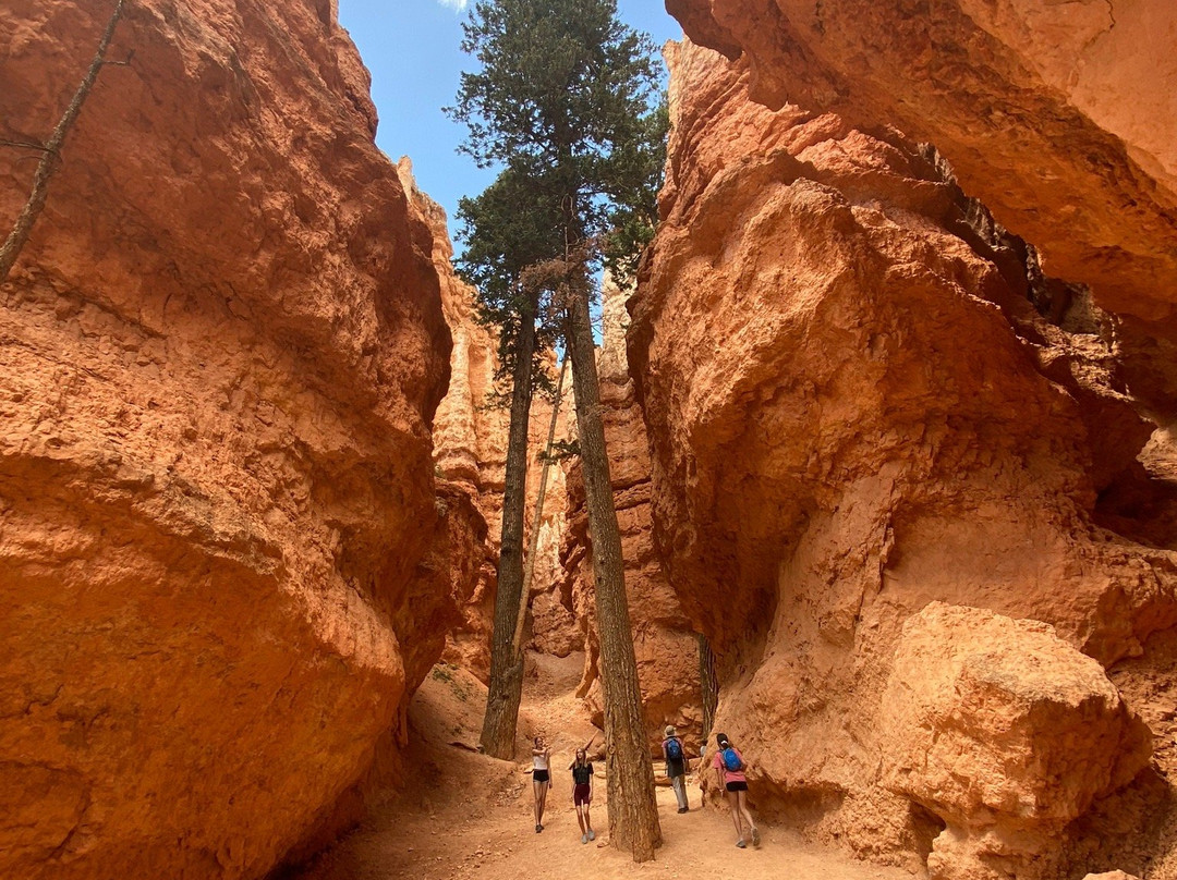 Bryce Canyon Scenic Tours-布莱斯峡谷城必去景点
