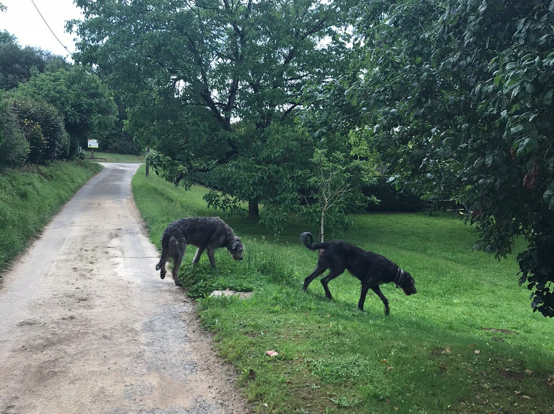 La Ferme Fleurie主图