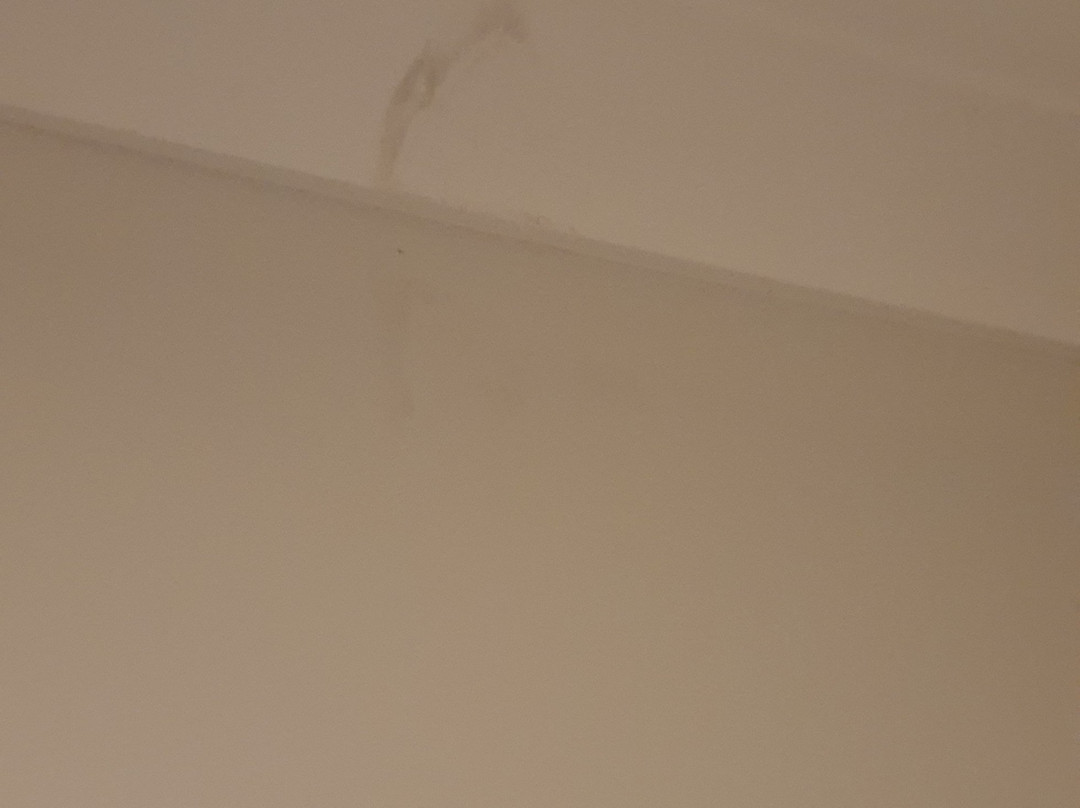 Squid's Ink Hotel主图