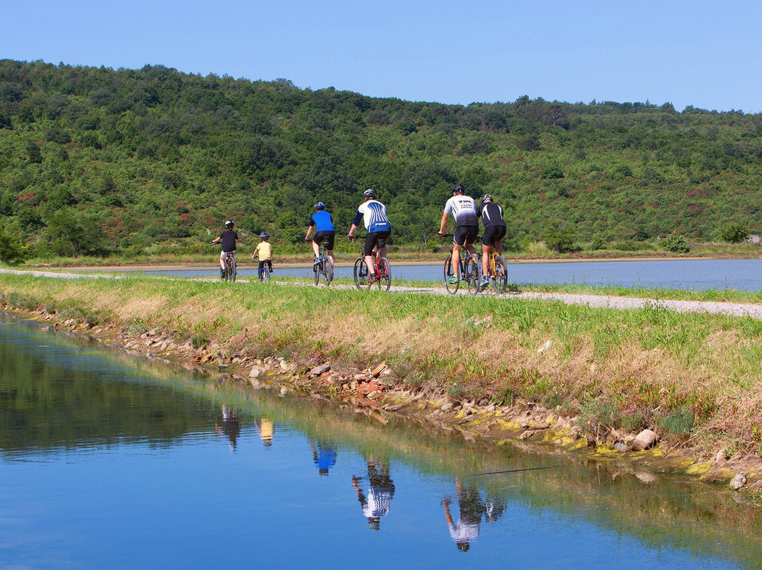 Go Portorož-波多若斯必去景点