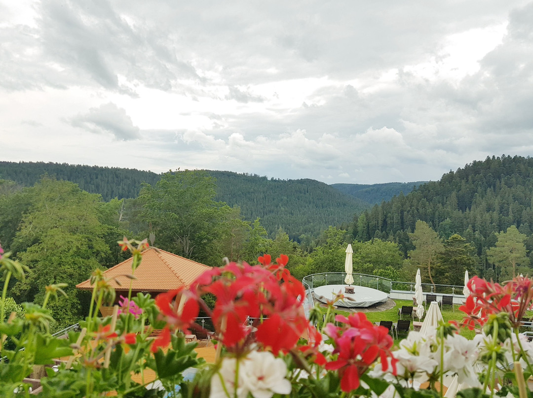 Hotel Kronelamm Im Schwarzwald主图