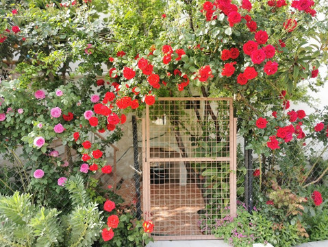 尼西亚酒店主图