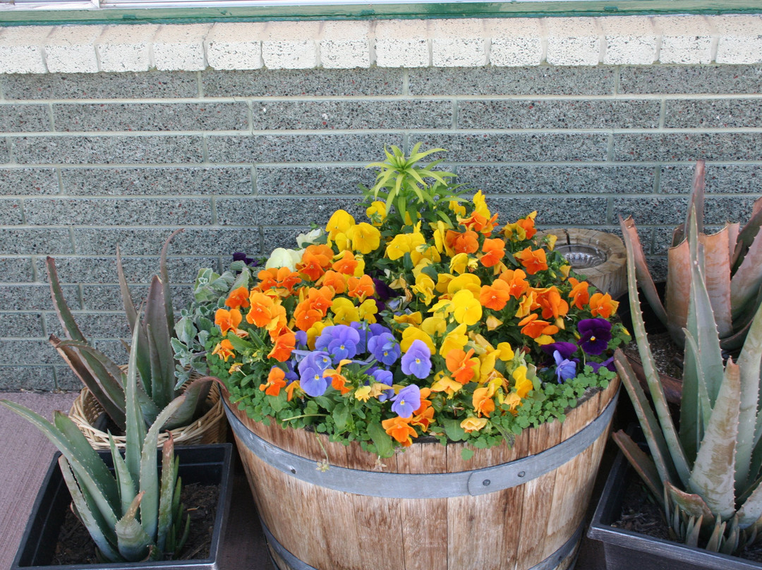 Bryce Zion Inn主图