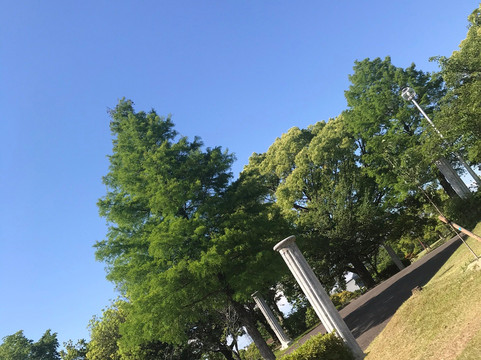 Ochiai Park-春日井市必去景点
