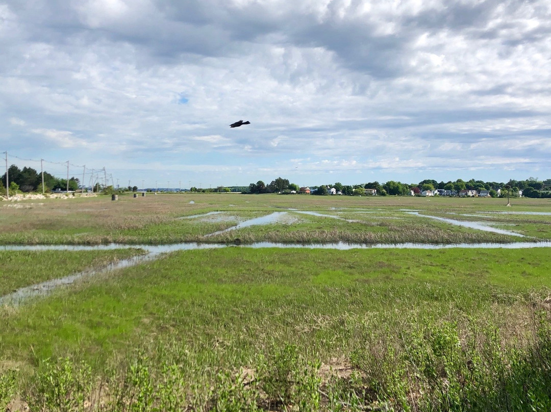 The Moswetuset Hummock-昆西必去景点