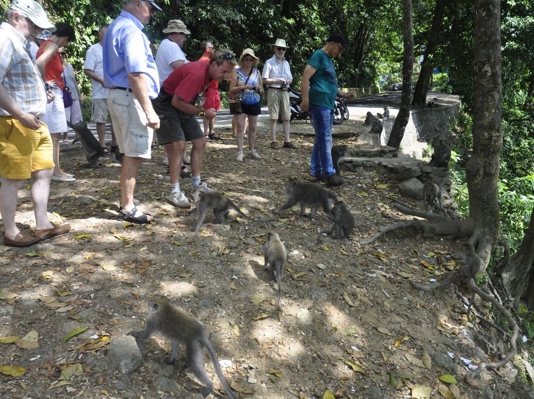 Puncak Pusuk Pass-Batu Layar必去景点