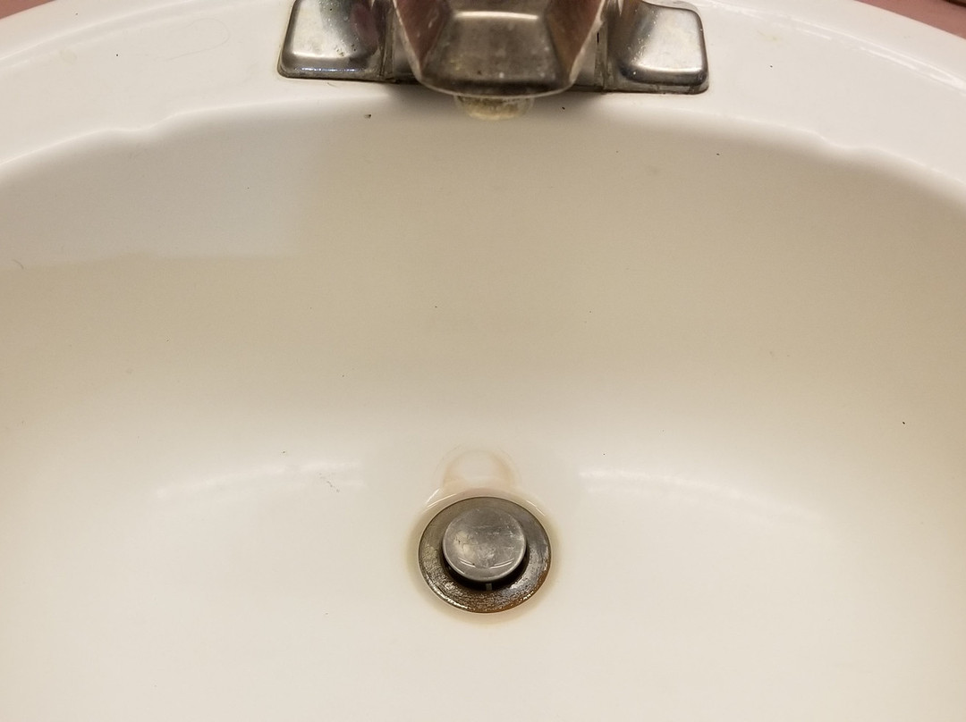 Sumner Motor Inn主图