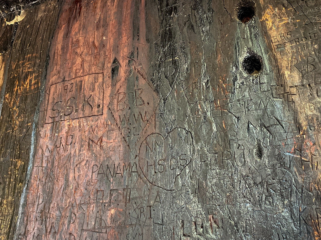 California Tunnel Tree-优胜美地国家公园必去景点