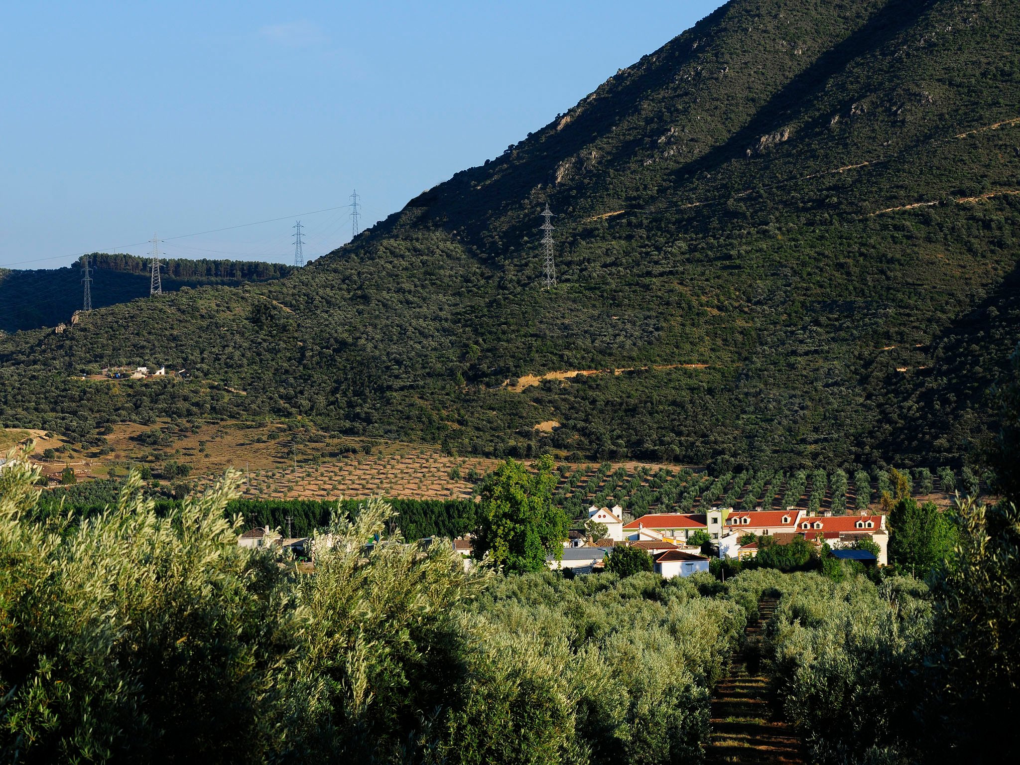 Amalurra Granada-官方