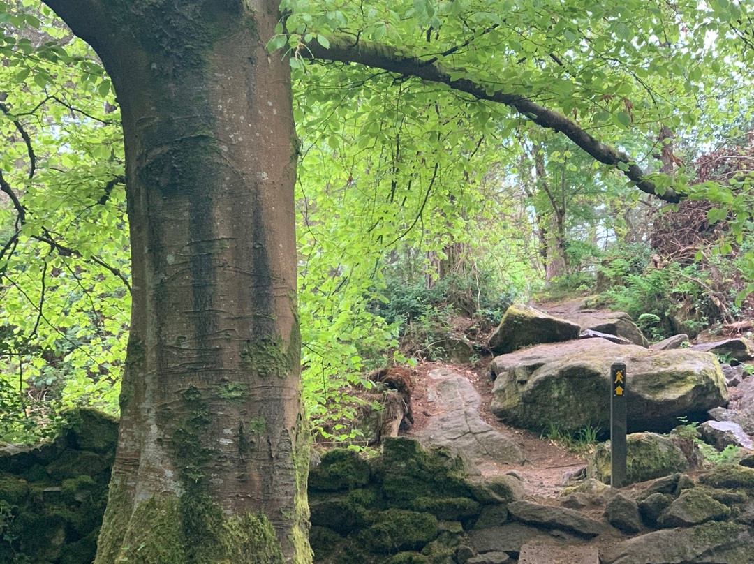 Barnaslingan Woods-Enniskerry必去景点