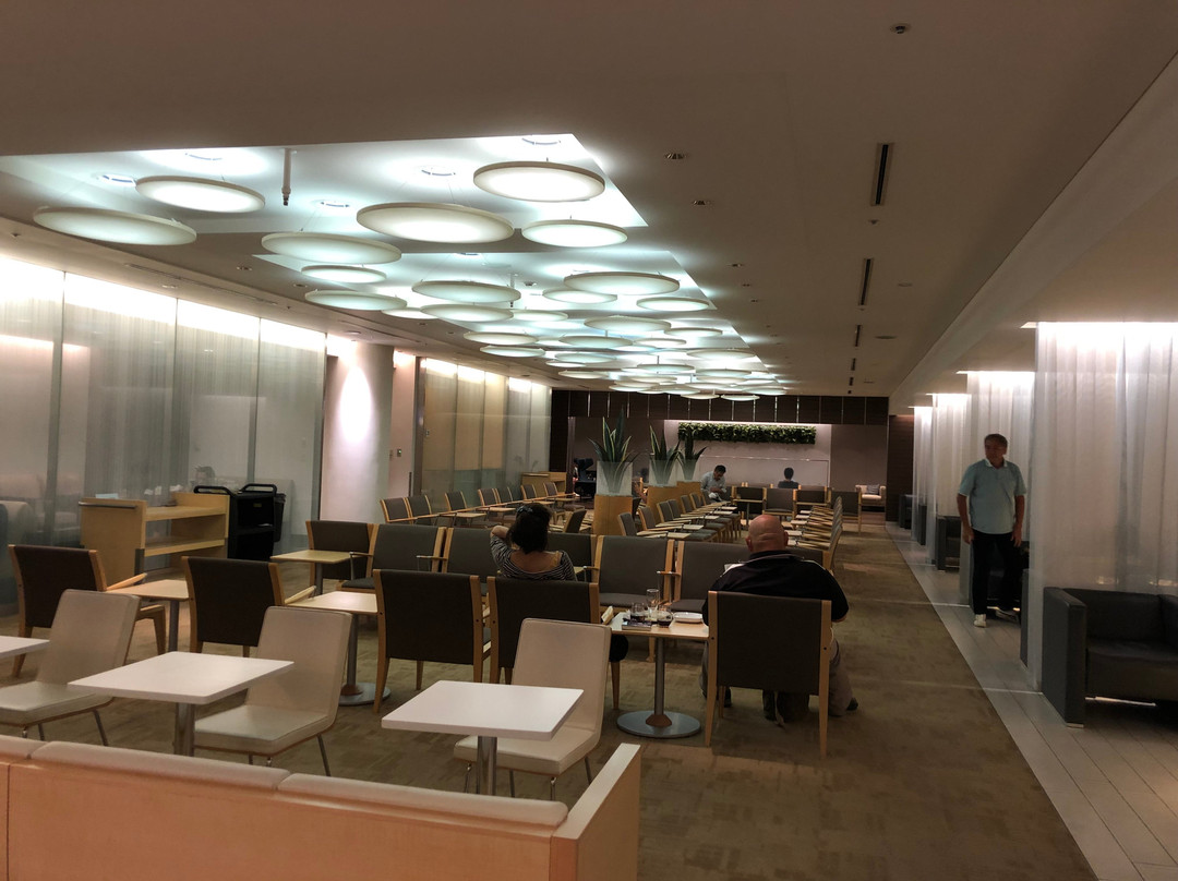 ANA Arrival Lounge Narita International Airport景点图片