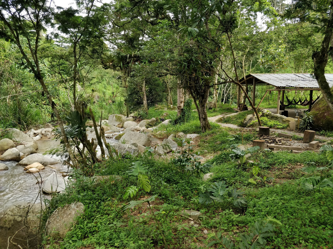 Origen Cacao-Barbosa必去景点