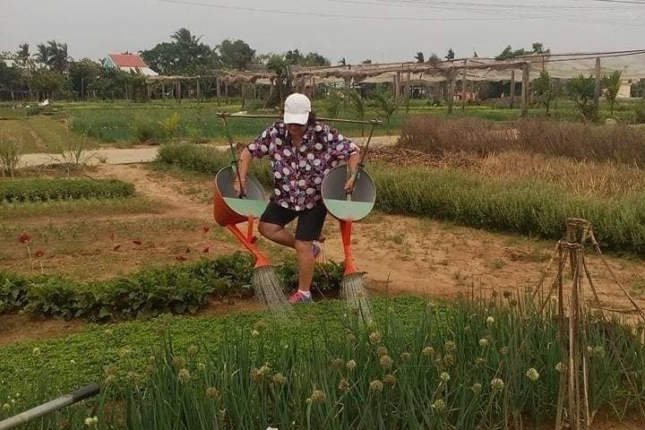 Viet Nam Shore Excursion & Local Tours景点图片