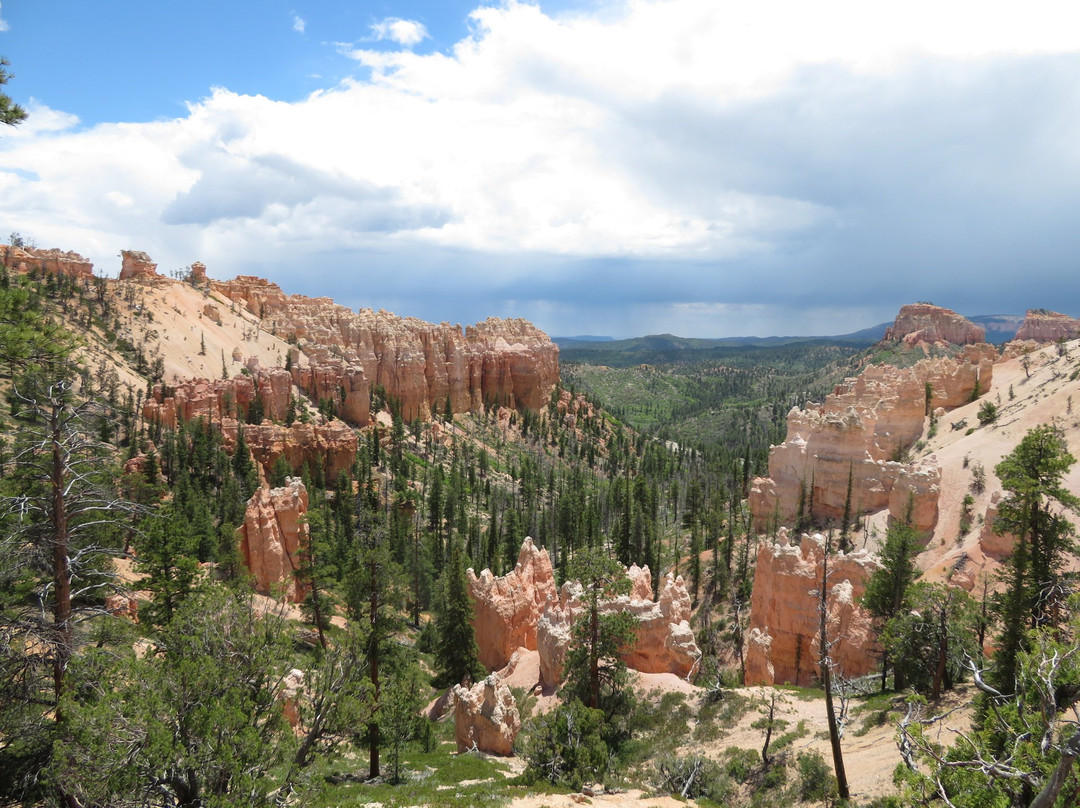 Swamp Canyon-布莱斯峡谷国家公园必去景点