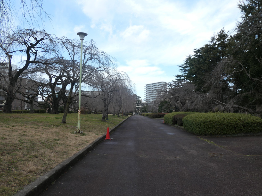 Tsutsujigaoka Park-仙台市必去景点