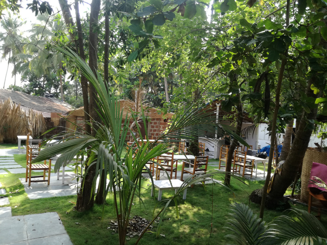 Anand Yoga Village景点图片