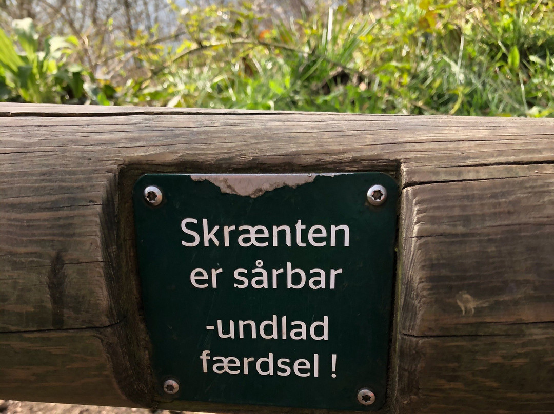 Udsigten i Riis Skov景点图片