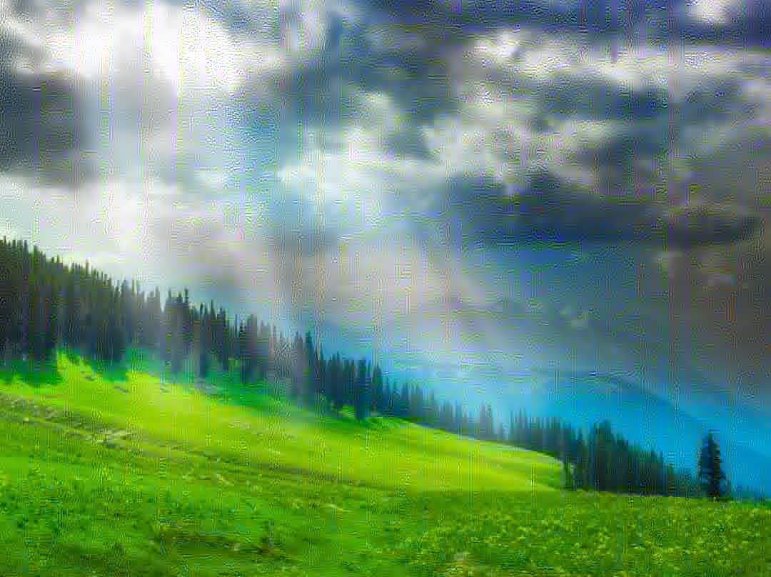 Kalam Forest-Kalam必去景点