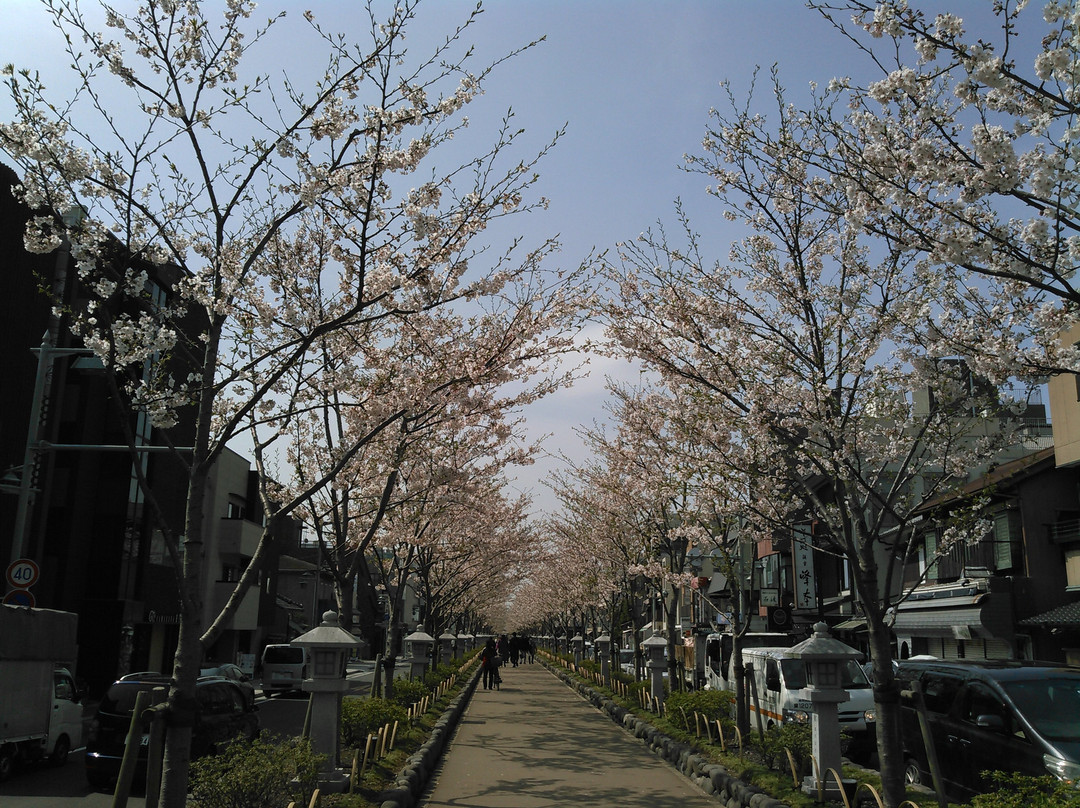 Wakamiya Main Street景点图片