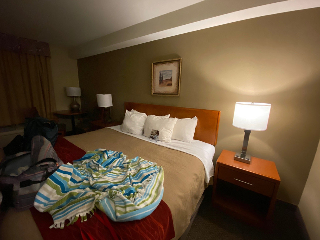 Comfort Inn & Suites Langley主图