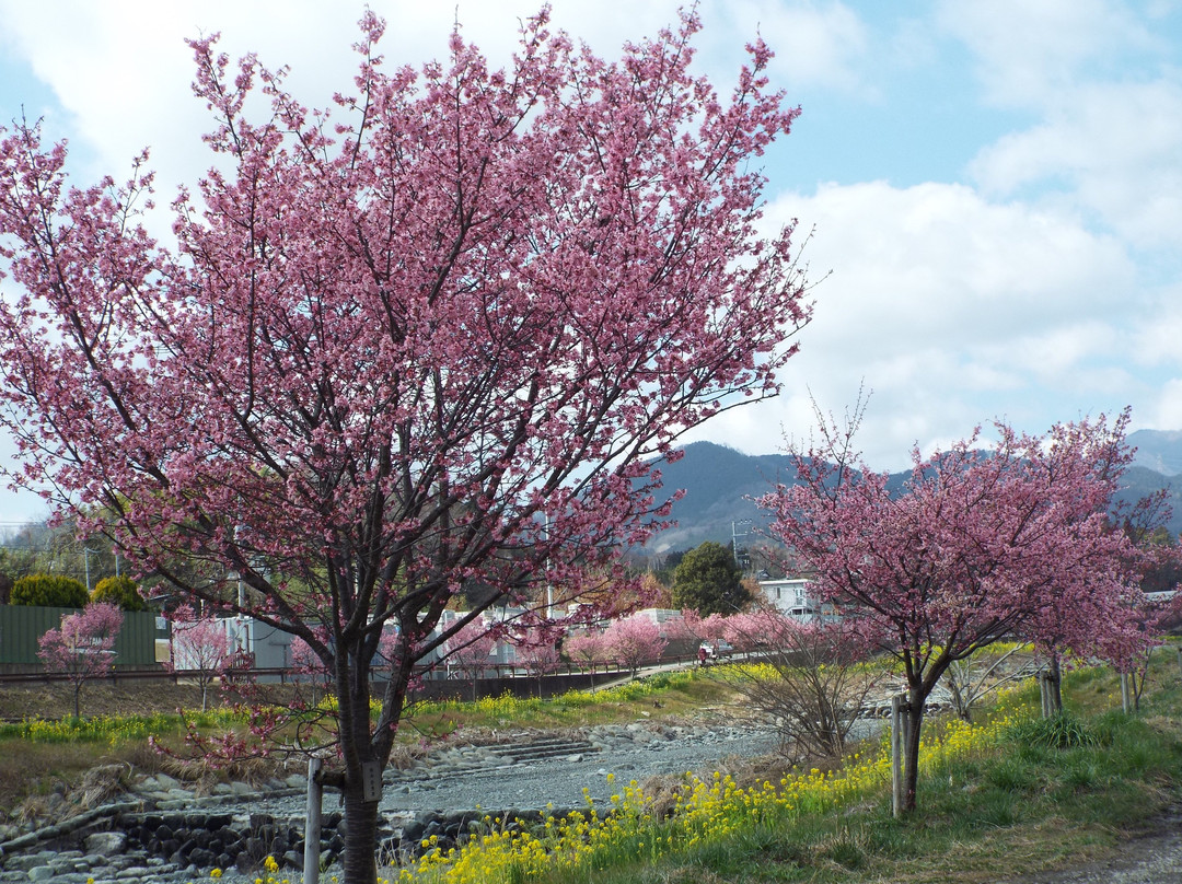 Mizunashi River-秦野市必去景点