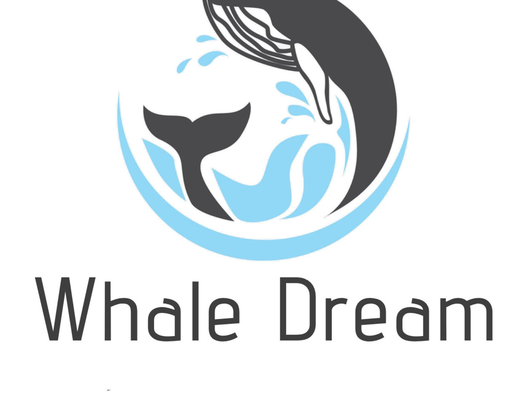 Whale Dream - Swim with Dolphins and Whale watching excursions in Mauritius-黑河必去景点