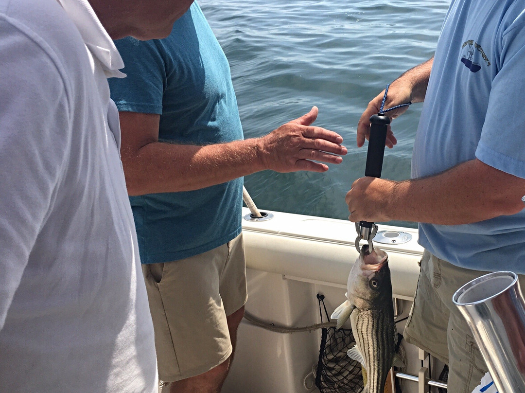 Whiptail Adventures-波特兰必去景点