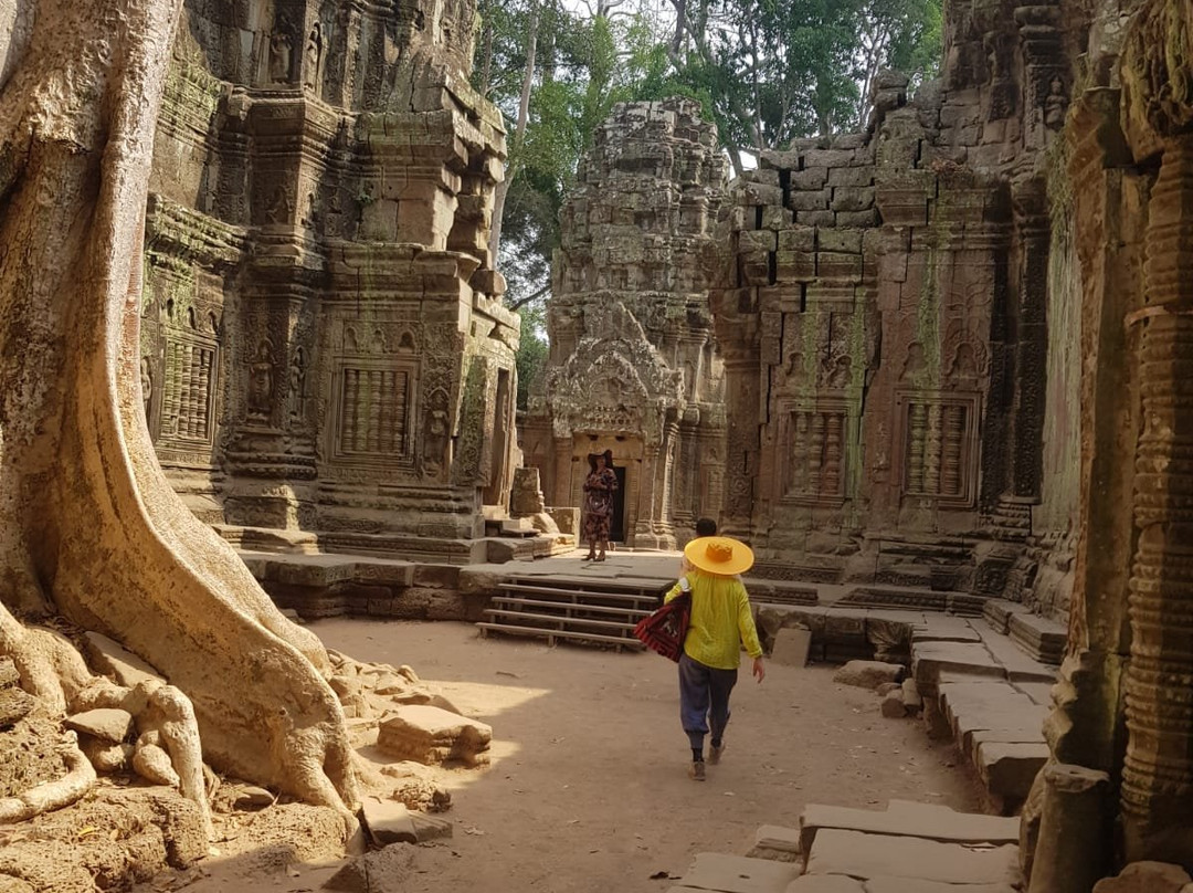 Ta Prohm Temple景点图片