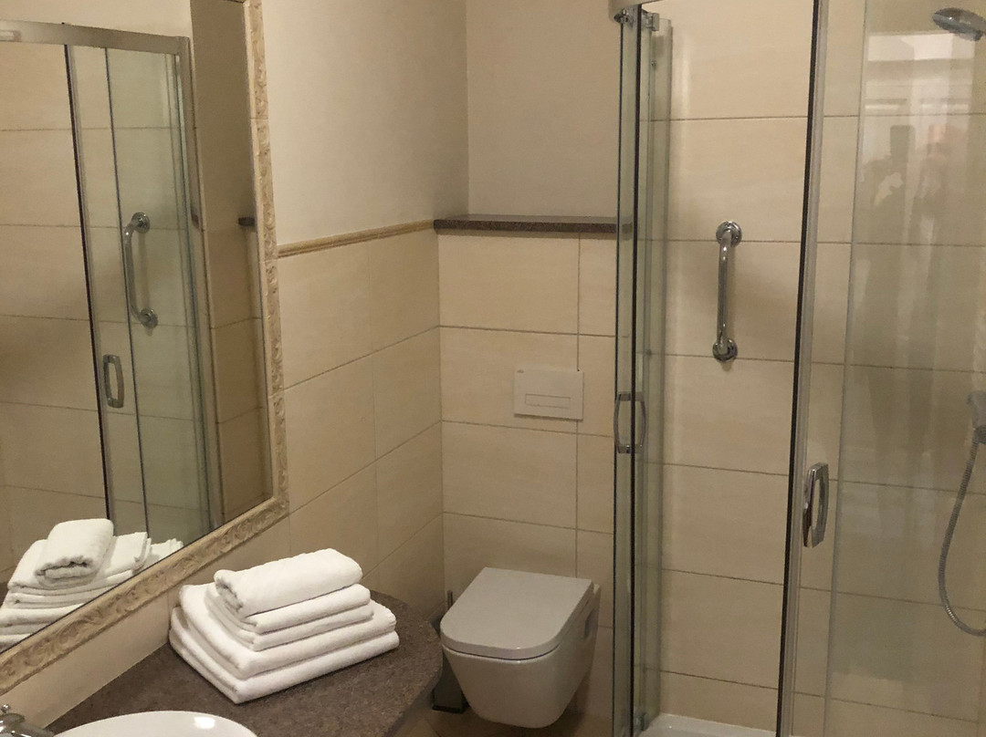Hotel Sandro Silver主图