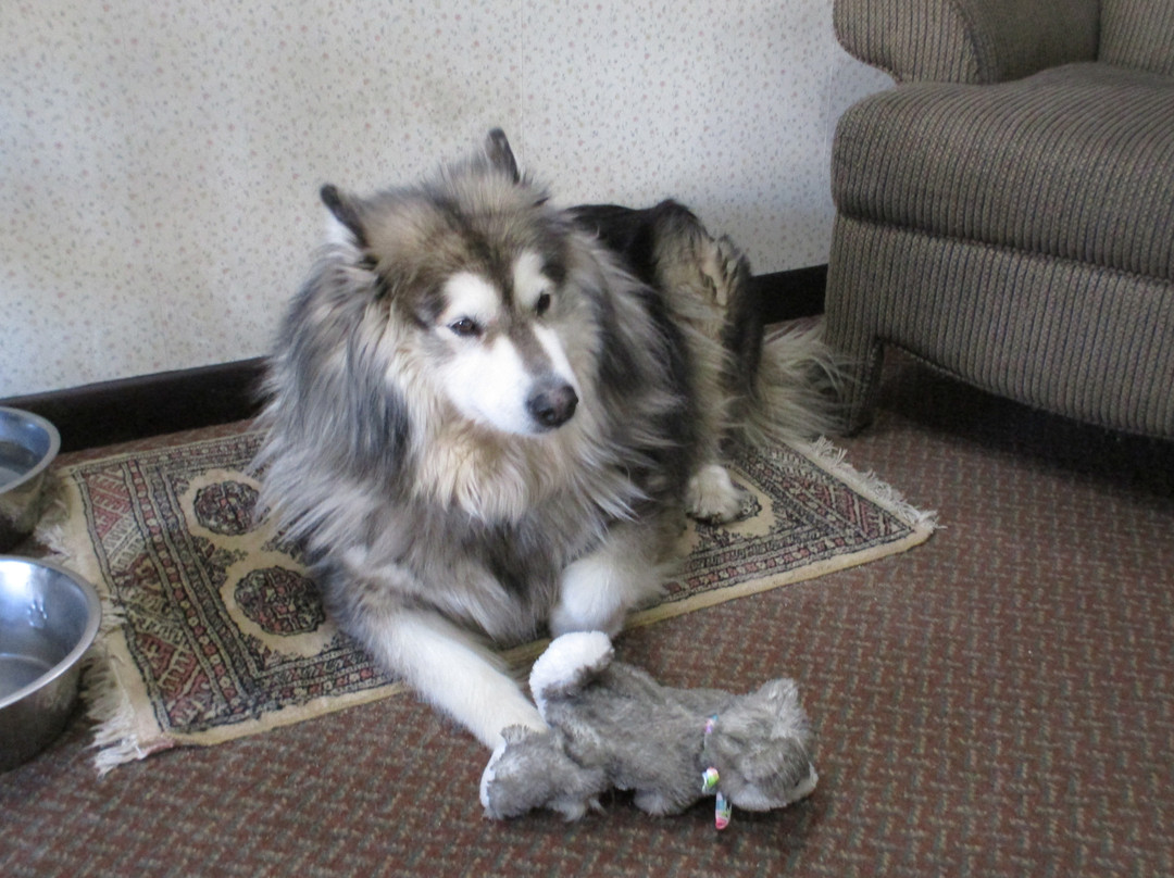 Old Field House主图