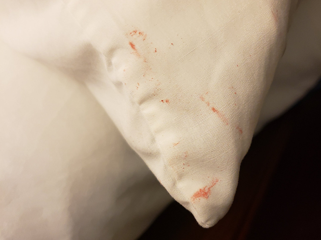 帕迪尤卡奥本套房酒店主图