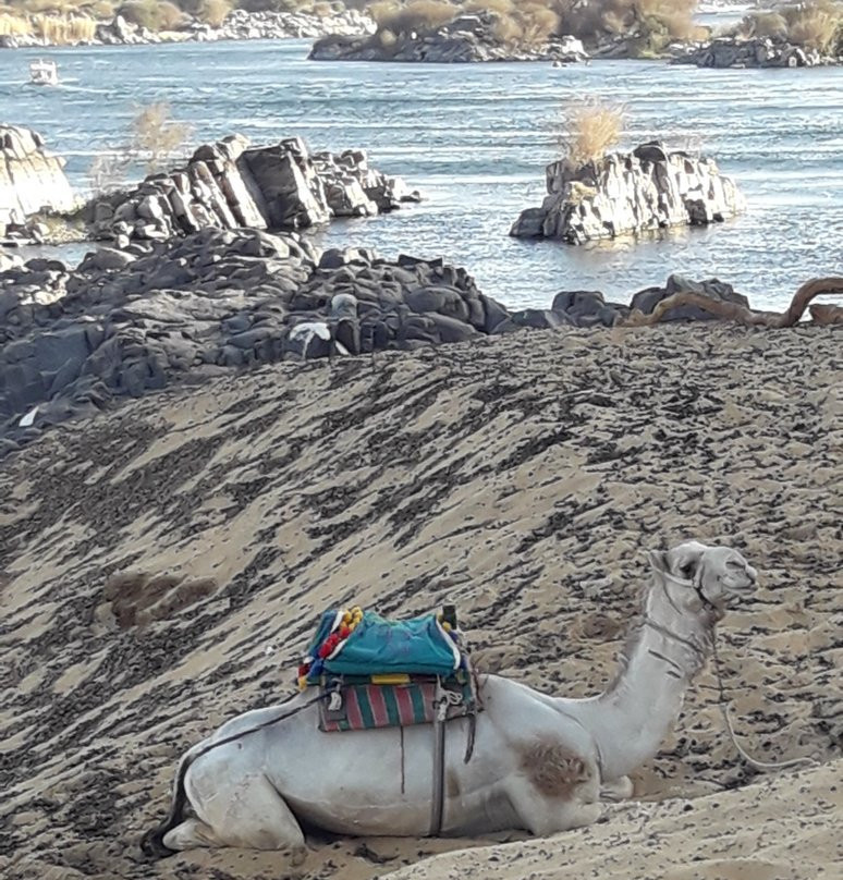 Sehel Island-亚斯文必去景点