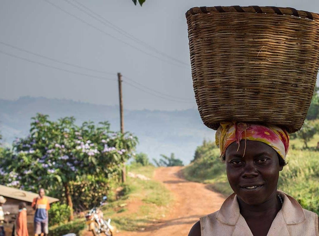 Safari Retreats Uganda-恩德培必去景点