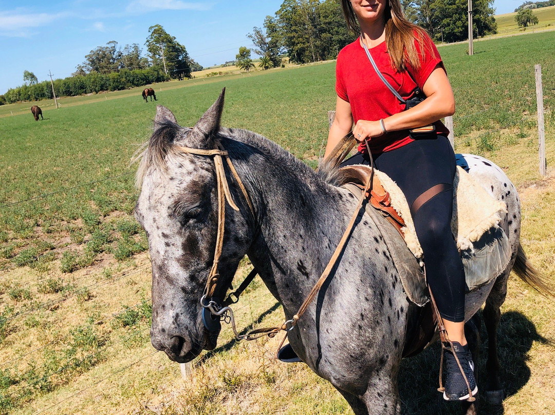 Cabalgatas Ikebana Colonia-科洛尼亚·德尔萨克拉门托城必去景点