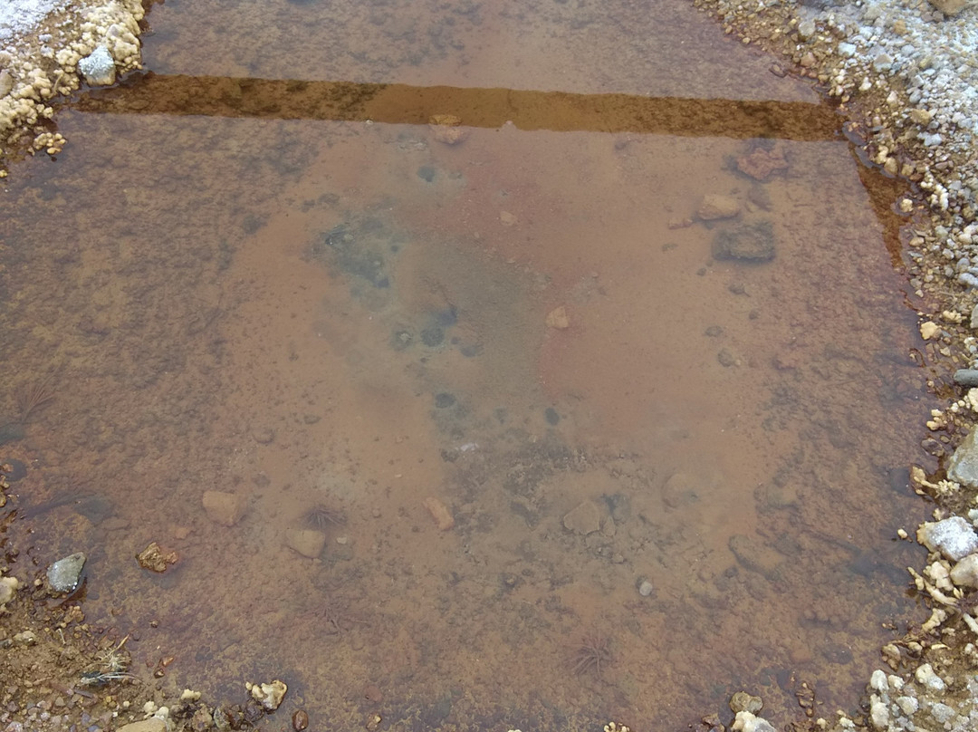 Salinas  de Iptuci景点图片