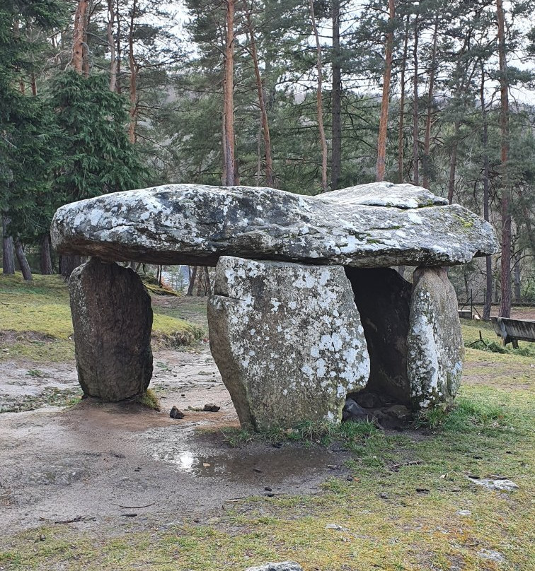 Parc du Dolmen景点图片