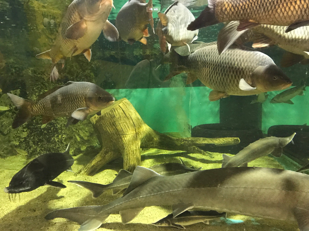 Oceanarium-喀山必去景点