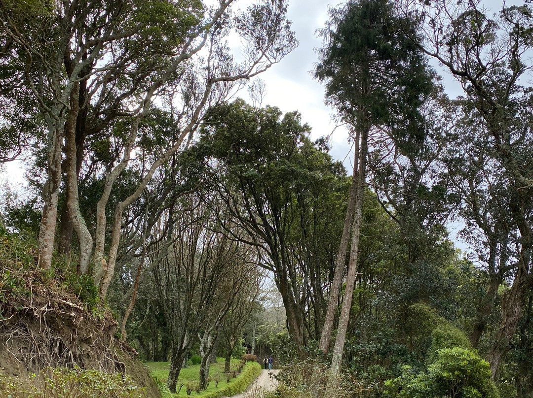 Azores Wonderful-蓬塔德尔加达必去景点