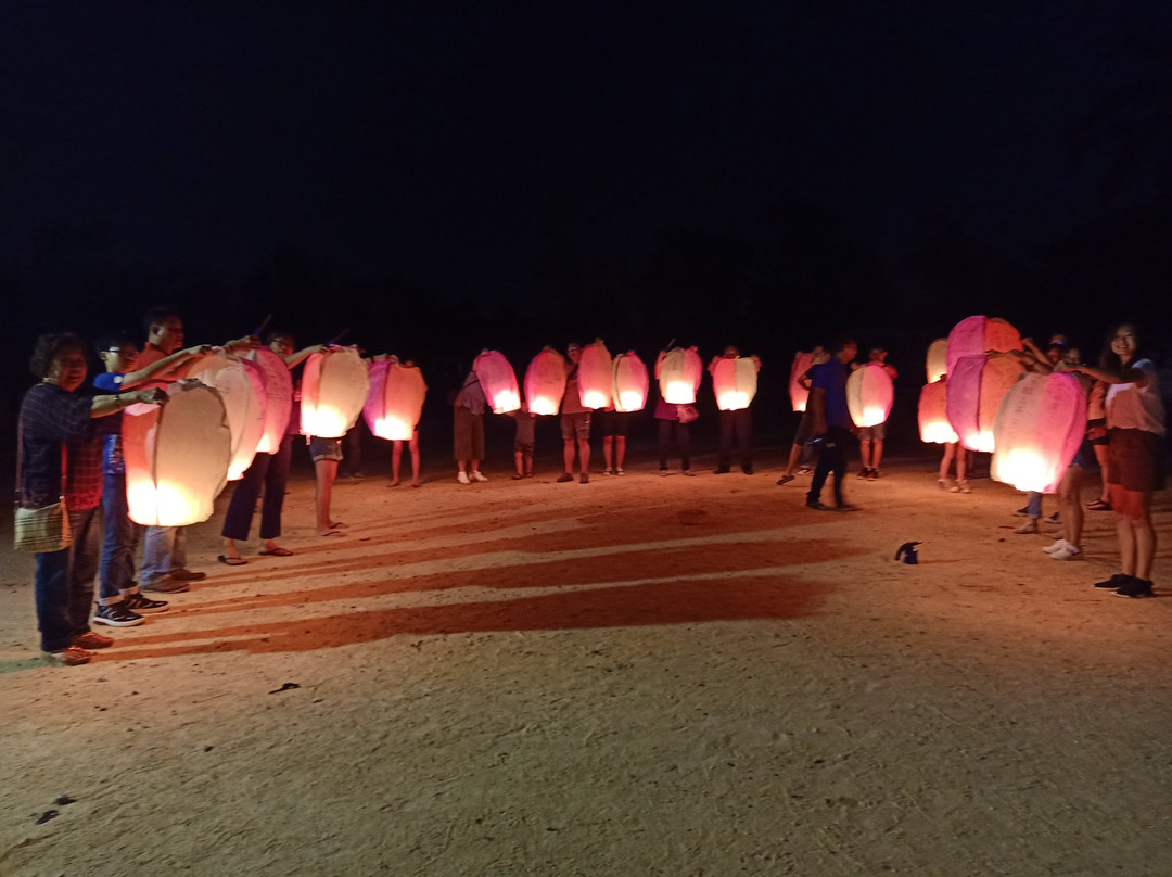 哥打丁宜萤火虫公园-新山必去景点