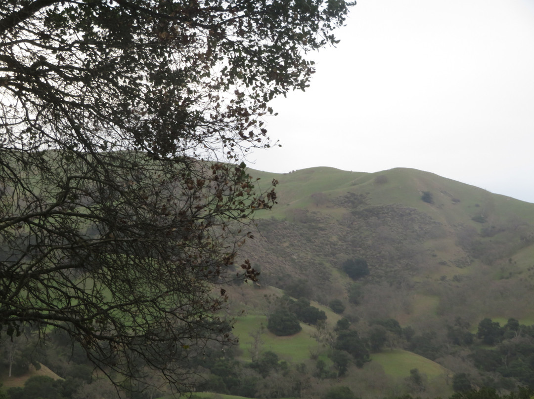 Sunol Regional Wilderness-Sunol必去景点