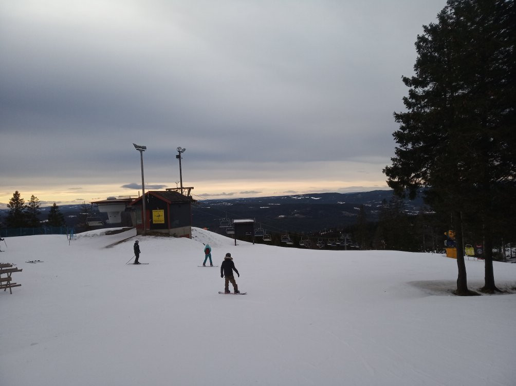 Oslo Vinterpark Tryvann景点图片